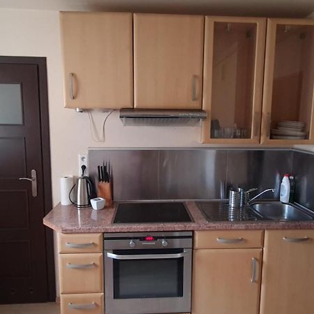 Apartament Czarny Potok Крыница-Здруй Экстерьер фото